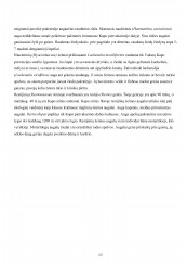 www.speros.lt